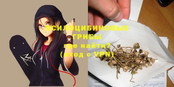 сатива Зерноград
