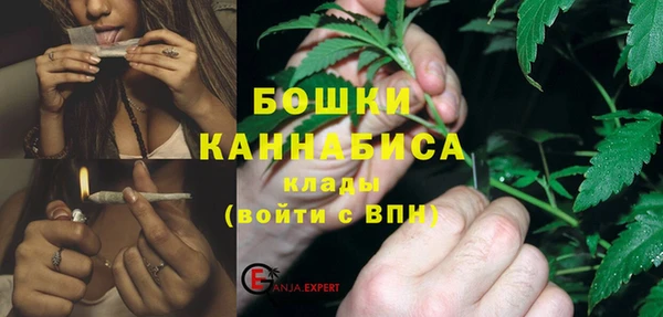 сатива Зерноград